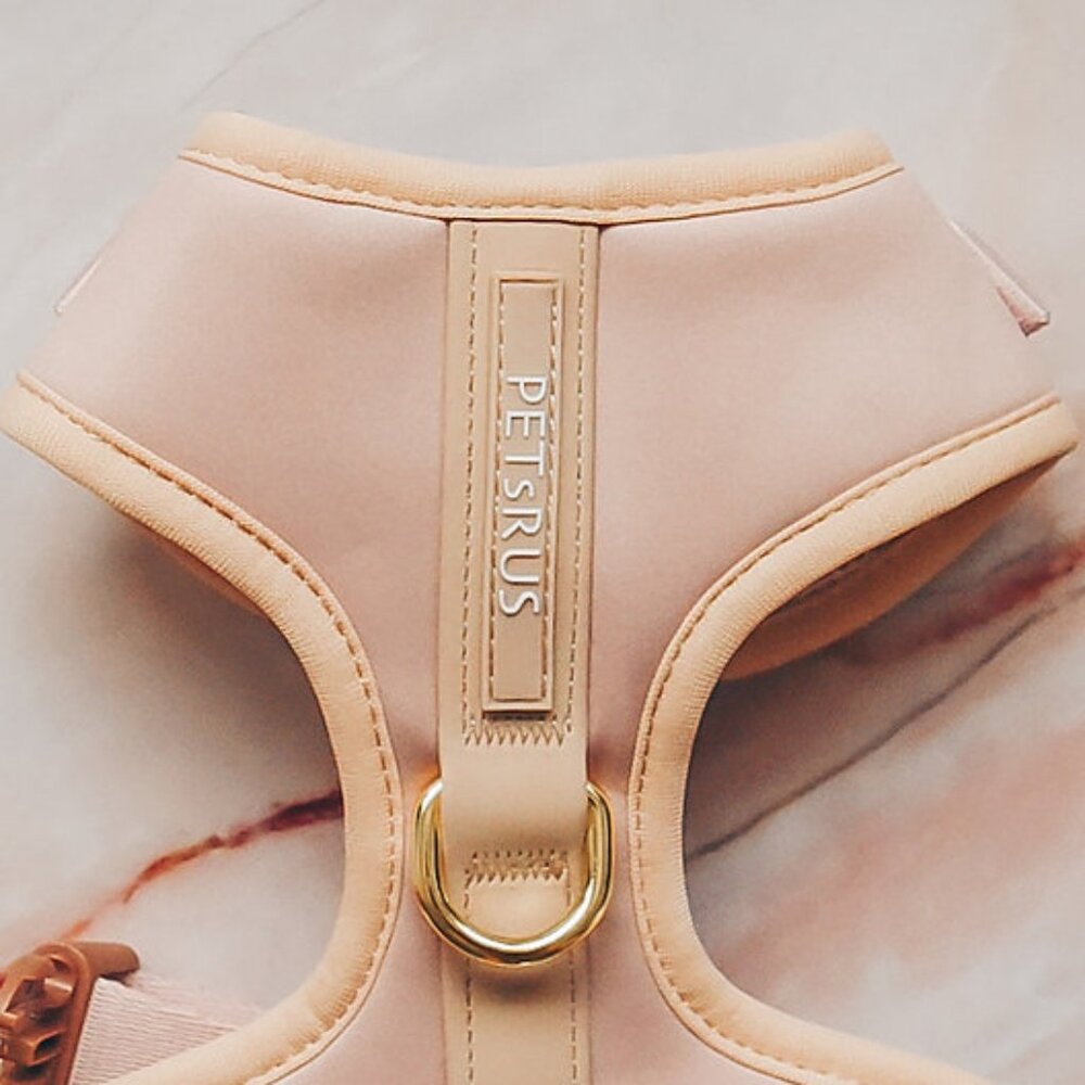 XXS Premium No Pull Dog Harness 2 Leash Clips Beige Leather Neoprene Gold